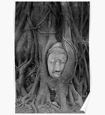 Ayutthaya Buddha #2 Poster