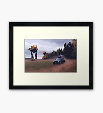 Decoy Framed Print
