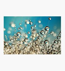 Crazy Cactus Droplets Photographic Print