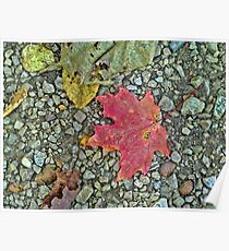 Fallen Leaves Poster