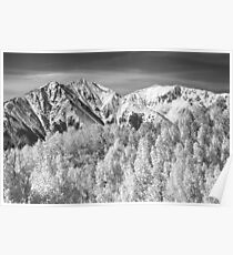Colorado Rocky Mountain Autumn Magic Black and White Poster