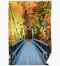 Bridge into the Woods Poster