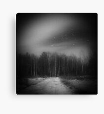 mysterious forest Canvas Print