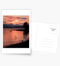Sunset Heron Postcards