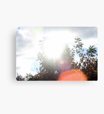 Sunrays Canvas Print
