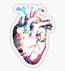 Pegatina Anatomía - Corazón (Acuarela)