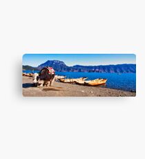 Yak at Logo Lake Canvas Print