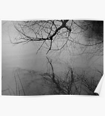 Reflections in Black and White Poster