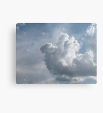 Coming In For A Landing Metal Print
