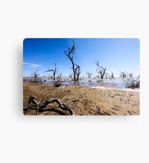 Menindee Lake NSW Australia Metal Print