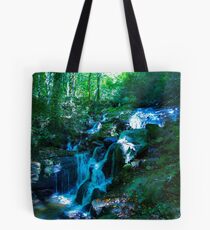 Amicalola Falls Tote Bag