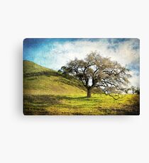 Kiss the Earth Canvas Print