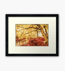 All That is Gold Framed Print