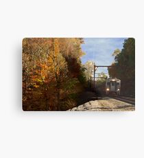 Commuter Metal Print