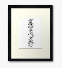 spine Framed Print