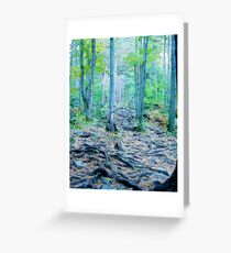 Rocky Forest Adventure Greeting Card