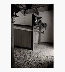 Police Stable Photographic Print