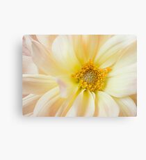 Yellow Dahlia Canvas Print
