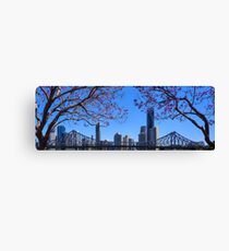 Brisbane Jacaranda Canvas Print