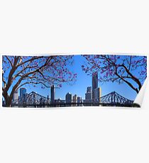Brisbane Jacaranda Poster