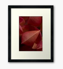 Wings Framed Print