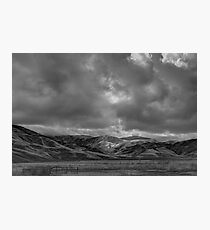 Grapevine Photographic Print