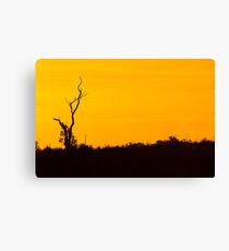 Sunset in the Hills Canvas Print