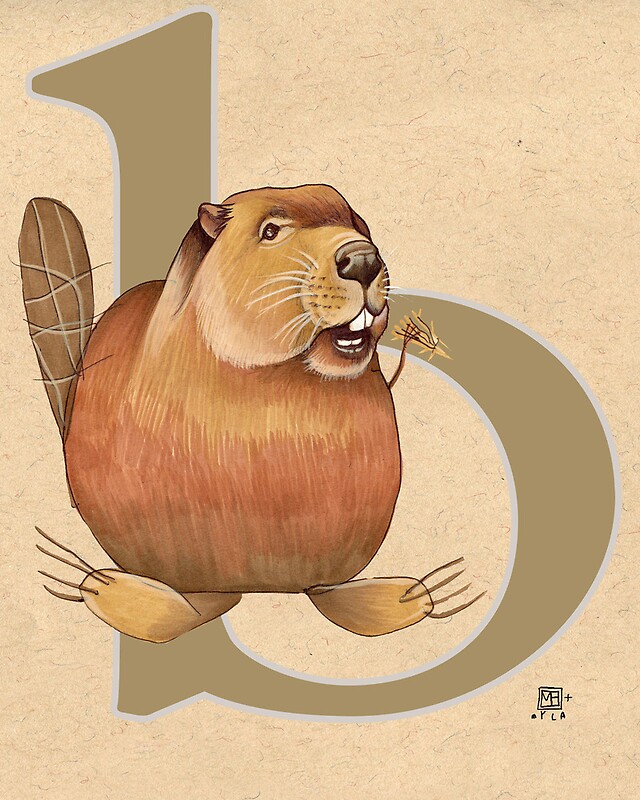 "B Is For BEAVER" By Busymockingbird | Redbubble