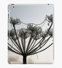 Frozen iPad Case/Skin
