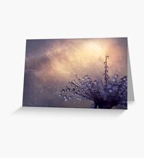 All the good wishes Greeting Card