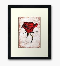 My love is like a red, red rose Framed Print