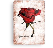 my luve is like a red red rose my luve is like a red red rose
