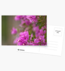 Purple day... Postcards