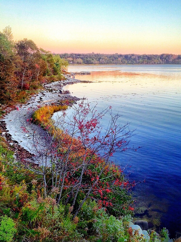 "Stockton Springs, Maine" by fauselr Redbubble