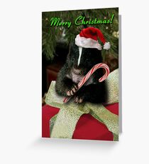 Merry Christmas Skunk Greeting Card