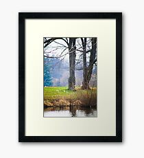 ANOTHER DAY AT THE POND Framed Print