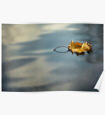 Autumn Leaf Poster
