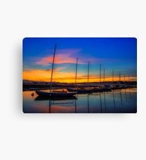 Redwing Sunset Canvas Print