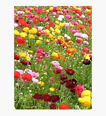 Happy Patch - Floral Rainbow Photographic Print