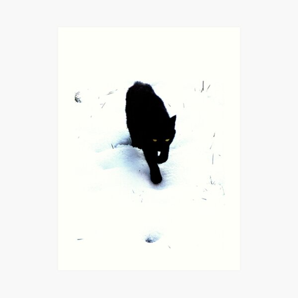 Cat in Snow Art Print