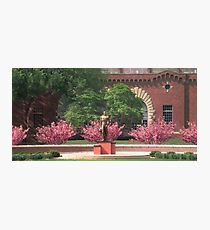 The Spartan Seasons - Spring Photographic Print