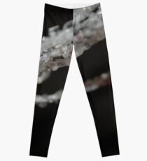 The Illusion Leggings
