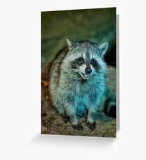 Say Cheese! Greeting Card