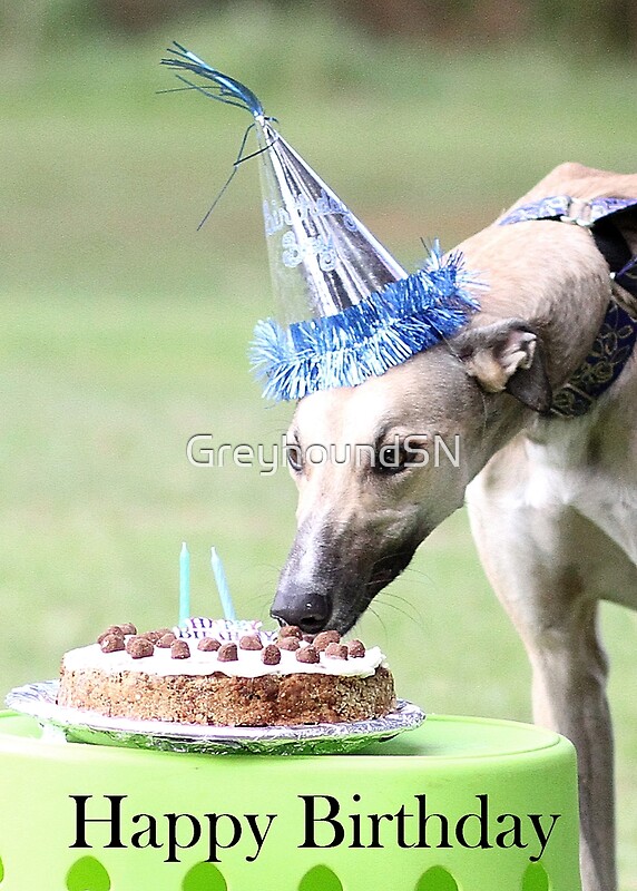 Greyhound Birthday: Greeting Cards | Redbubble