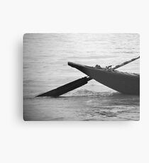Lonely... Metal Print