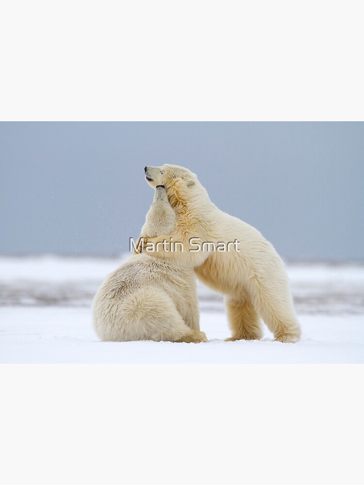Tender Moments by MartinSmart