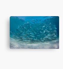 The Bang Canvas Print