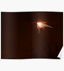 Firework 7 Poster