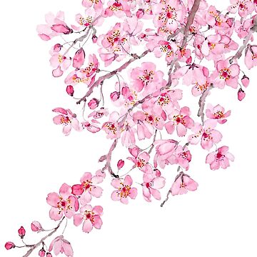 Artwork thumbnail, pink cherry blossom watercolor 2020 by ColorandColor