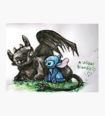 A Unique Friendship Photographic Print
